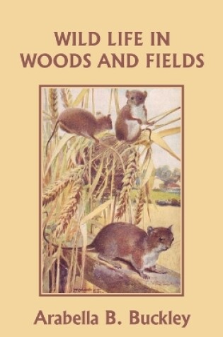 Cover of Wild Life in Woods and Fields (Yesterday's Classics)