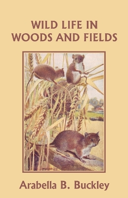 Book cover for Wild Life in Woods and Fields (Yesterday's Classics)