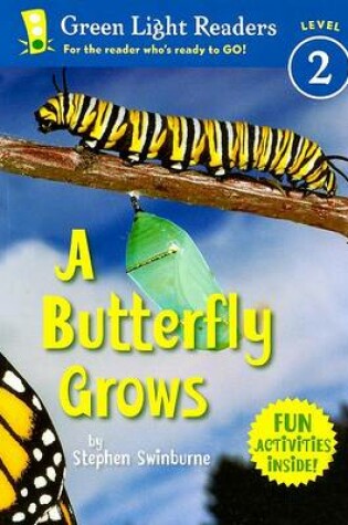 Cover of Butterfly Grows