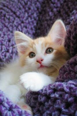 Book cover for Adorable Maine Coon Kitten on a Purple Blanket Journal