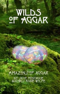 Book cover for Wilds of Aggar