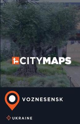 Book cover for City Maps Voznesensk Ukraine