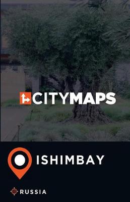 Book cover for City Maps Ishimbay Russia