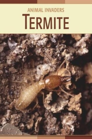 Cover of Termite