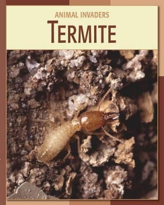 Cover of Termite