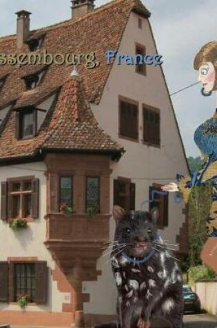 Cover of Wissembourg, France