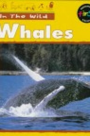 Cover of Whales