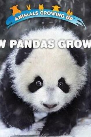 Cover of How Pandas Grow Up