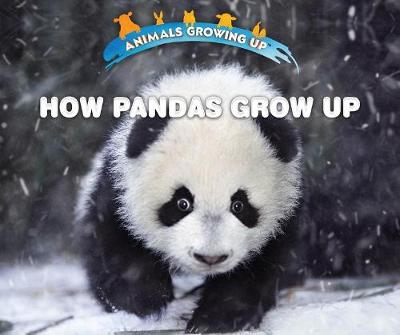 Book cover for How Pandas Grow Up