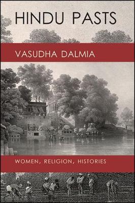 Book cover for Hindu Pasts