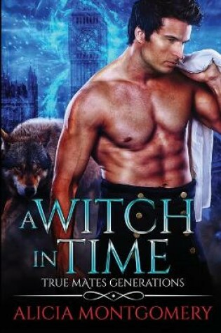Cover of A Witch in Time