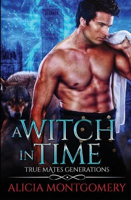 Cover of A Witch in Time