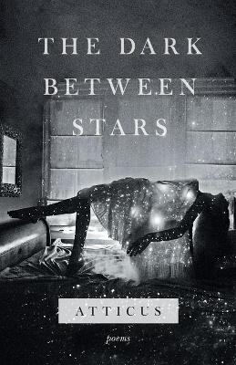 Book cover for The Dark Between Stars