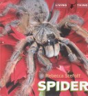 Book cover for Spider