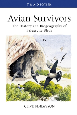 Book cover for Avian survivors