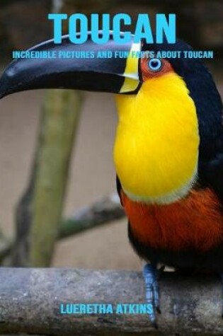 Cover of Toucan