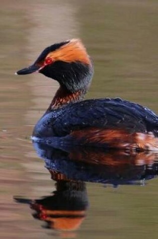 Cover of Horned Grebe (Podiceps Auritus) Bird Journal