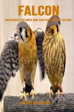 Cover of Falcon