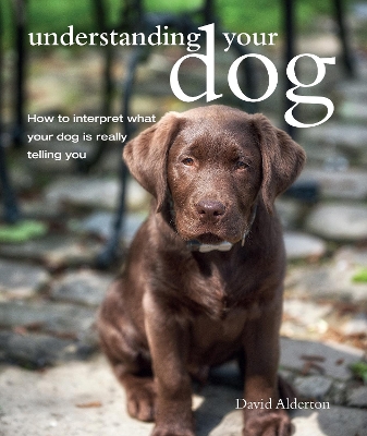 Book cover for Understanding Your Dog