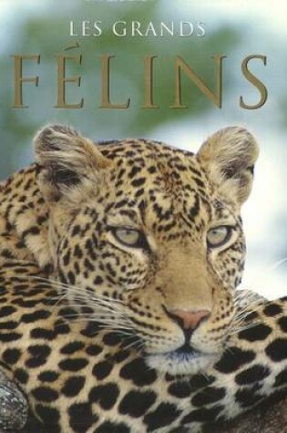 Cover of Les Grands Felins