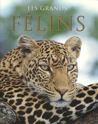 Book cover for Les Grands Felins