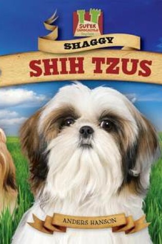 Cover of Shaggy Shih Tzus