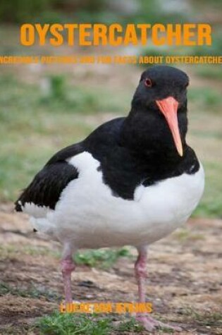 Cover of Oystercatcher