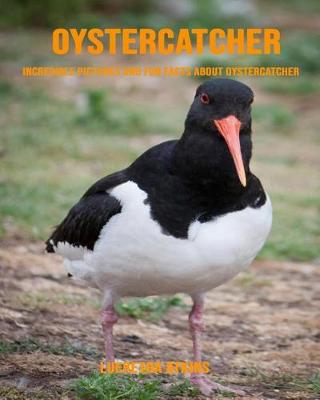 Book cover for Oystercatcher