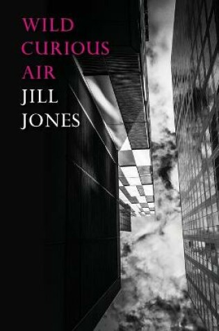 Cover of Wild Curious Air