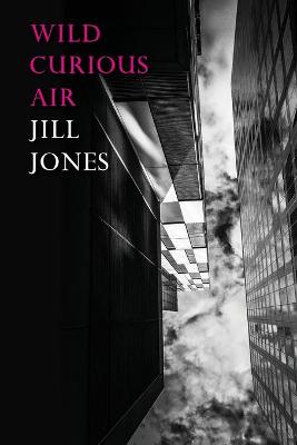 Book cover for Wild Curious Air