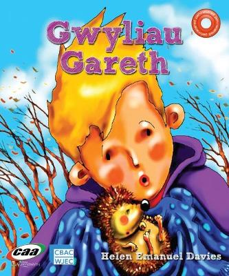 Book cover for Pen-i-Waered: Anifeiliaid Anwes/Gwyliau Gareth