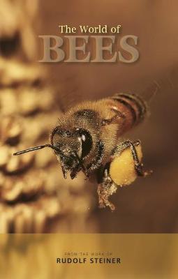 Book cover for The World of Bees