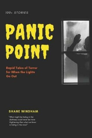 Cover of Panic Point