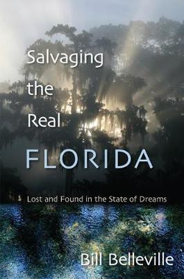 Book cover for Salvaging The Real Florida