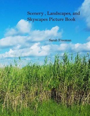 Book cover for Scenery, Landscapes, and Skyscapes Picture Book