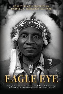 Book cover for Eagle Eye