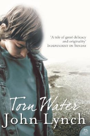 Cover of Torn Water