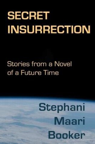 Cover of Secret Insurrection