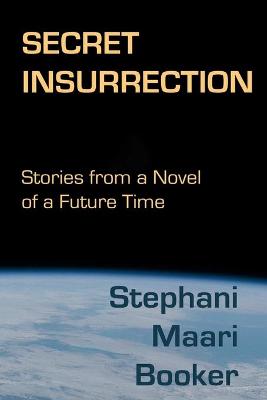 Book cover for Secret Insurrection