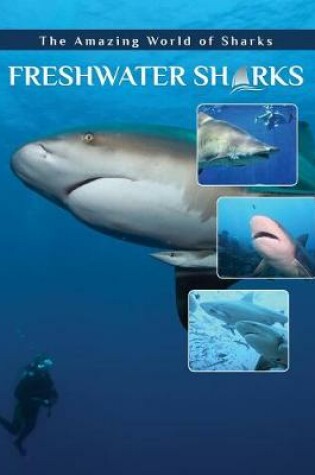 Cover of Freshwater Sharks