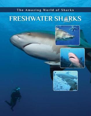 Book cover for Freshwater Sharks