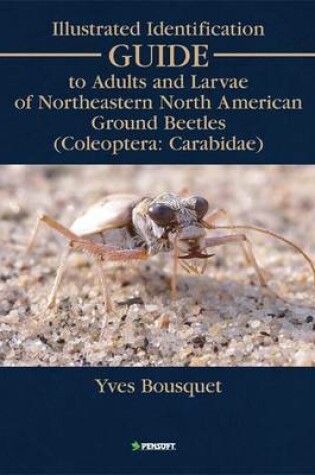 Cover of Illustrated Identification Guide to Adults and Larvae of Northeastern North American Ground Beetles (Coleoptera: Carabidae)