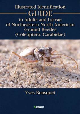 Book cover for Illustrated Identification Guide to Adults and Larvae of Northeastern North American Ground Beetles (Coleoptera: Carabidae)