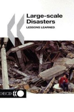 Cover of Large-scale Disasters