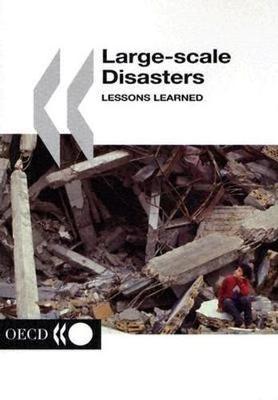 Book cover for Large-scale Disasters