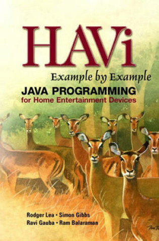 Cover of HAVi Example By Example