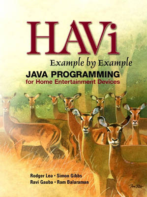 Book cover for HAVi Example By Example