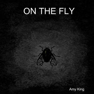 Book cover for On the Fly