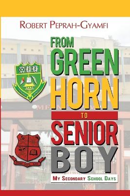 Book cover for From Greenhorn to Senior Boy My Secondary School Days