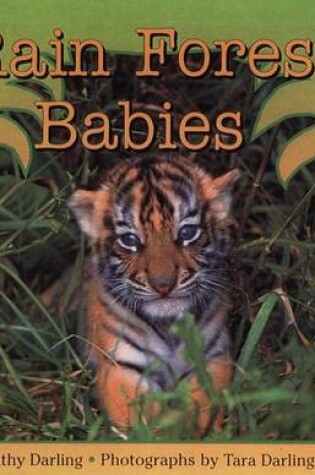 Cover of Rain Forest Babies
